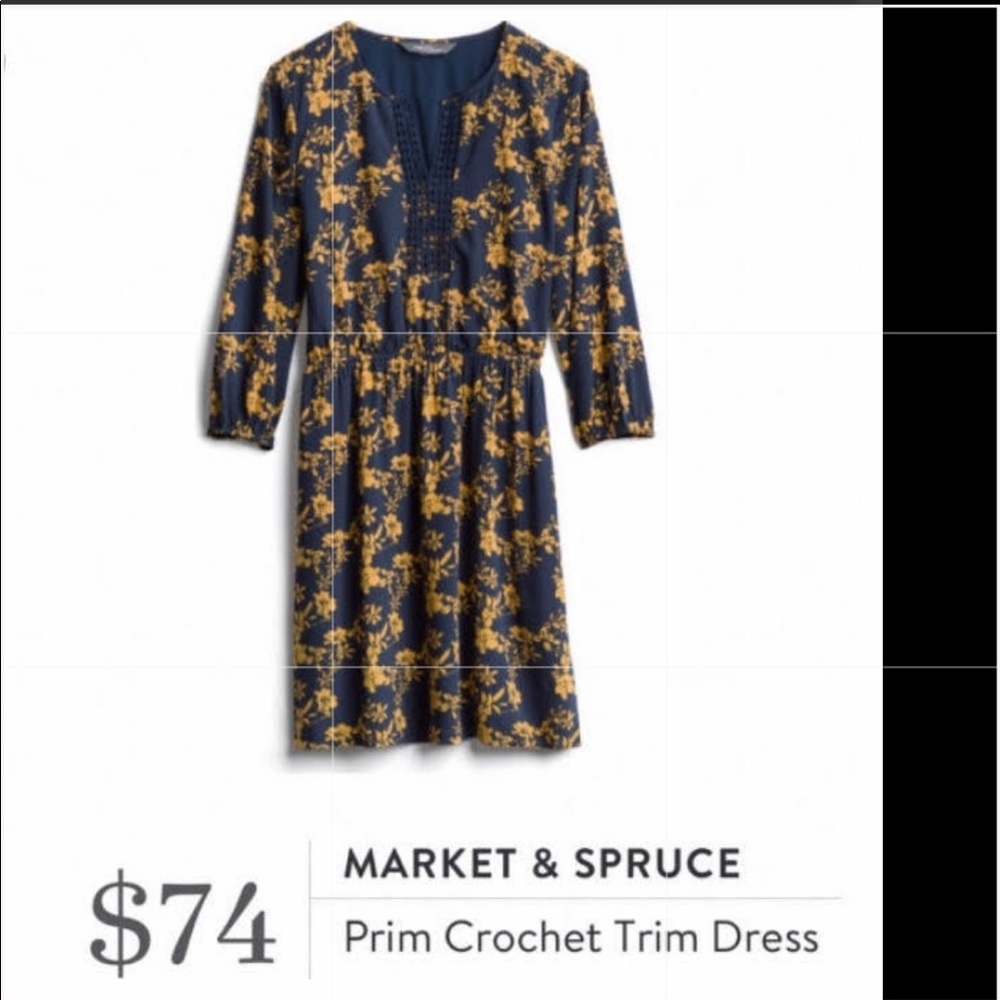 Stitch fix. Market & Spruce dress.